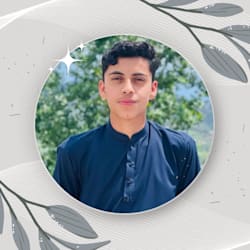 muhammadsafi_19