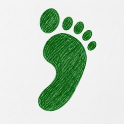 fluidsteps