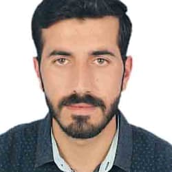 sajidalirizvi
