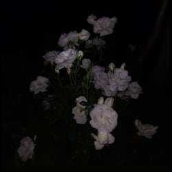 kiran_rafaqat90
