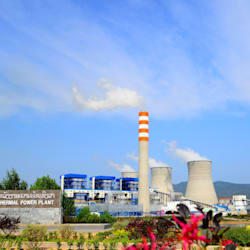 rehn_a