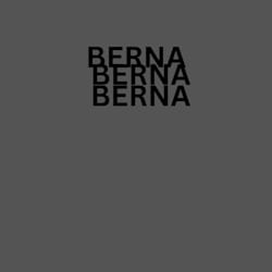 berna_322