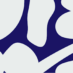 moiyaami