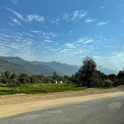 abhijaii