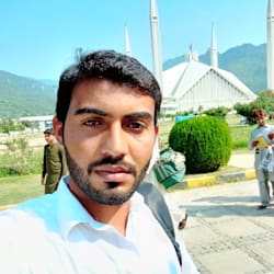 saju_k9