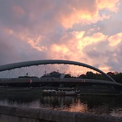 ts_lutz