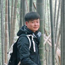 yangsir929
