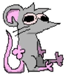 dumpsterrrat