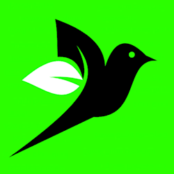 lional_design