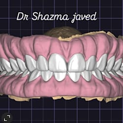 shazmajaved1