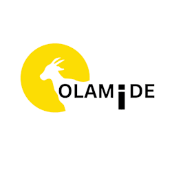 olamidepioio