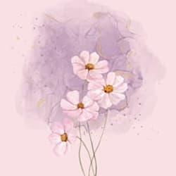 anikaa_creates