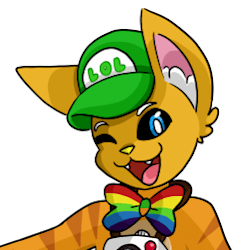 koplopbopthecat