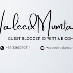 waleedfrelance1