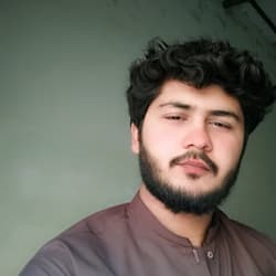 chaudhryhamd226