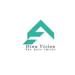 dinuvision