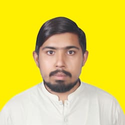 rajawebpulse