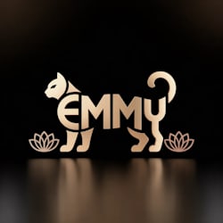 emmyli21