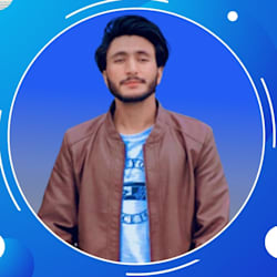 wajidmustafa331