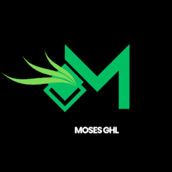 mosesxpertise
