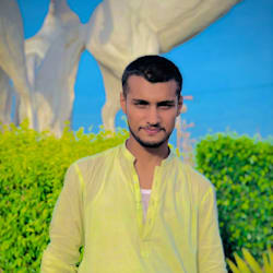 shehriorg