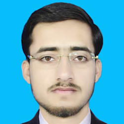 hamidamin8113