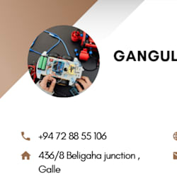 gangul2012