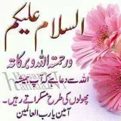 aqibmueen