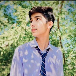 ali_designer_87