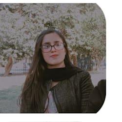 bashirhafsa02