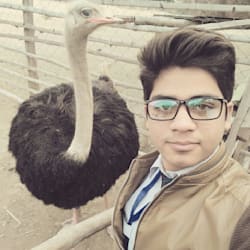 awaismaqbool97