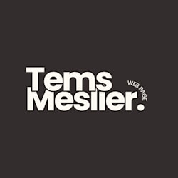 mesliertems
