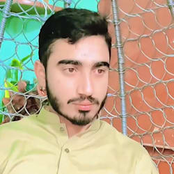 waleed_hassan_7