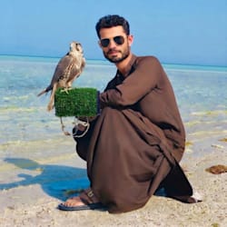 falcontraining