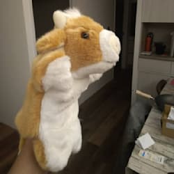 ywenwing