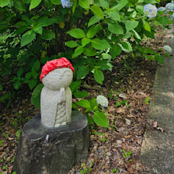 kanazawa_n
