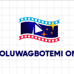 oluwagbotemi_o1