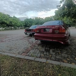 malik_arhaan