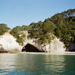 sdinoben