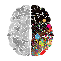 the_right_brain