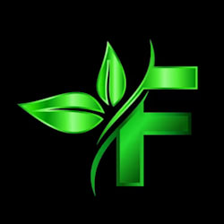 fresh__leads