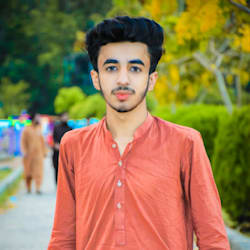 seo_haseeb8