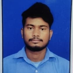 nareshpalei