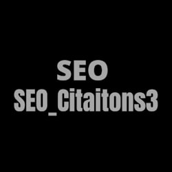 seo_citations3