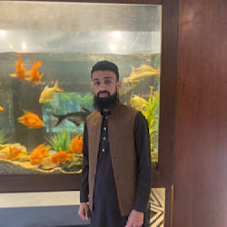 waqasgul11