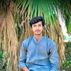 tanzeelhassan71