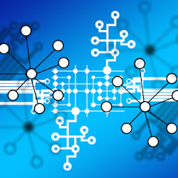 data_nexus_