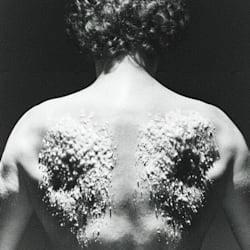 af_studio_sam