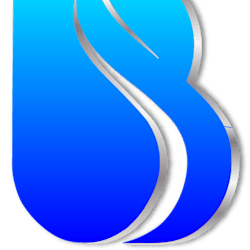 brightbiz
