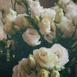 ghofrane_06